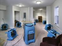 Catstrong Mold Removal Killeen | Mold Remediation image 3
